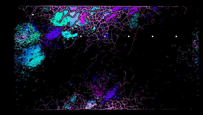 Aesthetic and behavioral Evolution of Evolving Virtual Ecosystem where three different autonomous agents species interact crossover and evolve with genetic algorithms