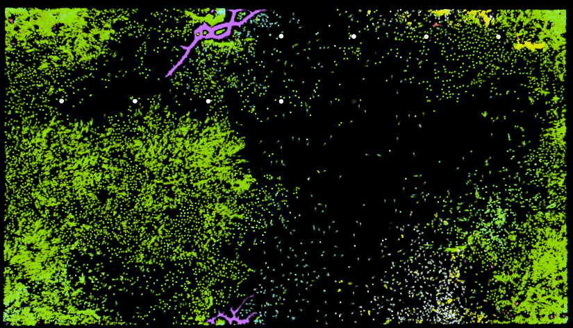 Aesthetic and behavioral Evolution of Evolving Virtual Ecosystem where three different autonomous agents species interact crossover and evolve with genetic algorithms