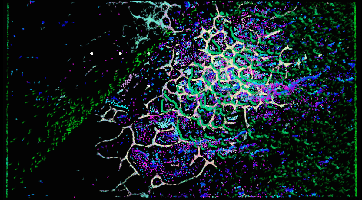 Aesthetic and behavioral Evolution of Evolving Virtual Ecosystem where three different autonomous agents species interact crossover and evolve with genetic algorithms