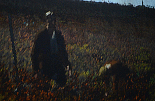 Paralax interaction with Evolving painting landscape