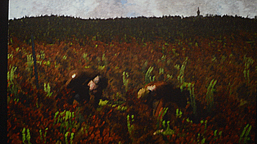 Weather Evolving painting landscape